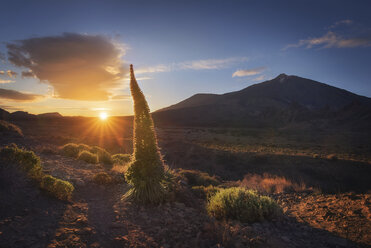 Spanien, Kanarische Inseln, Teneriffa, Teide-Nationalpark bei Sonnenuntergang - DHCF00188