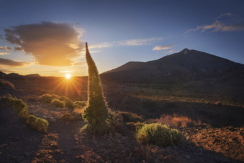 Spain, Canary Islands, Tenerife, Teide National Park at sunset - DHCF00188