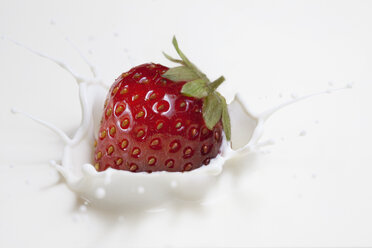 Frische Erdbeere, die auf die Milchoberfläche spritzt - CUF36962