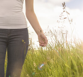 Young woman running hand through long grass in meadow under bright sunshine, close up - CUF36994