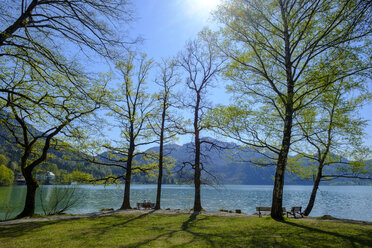 Germany, Bavaria, Upper Bavaria, Lake Kochelsee, View to Herzogstand and Heimgarten - LBF01971