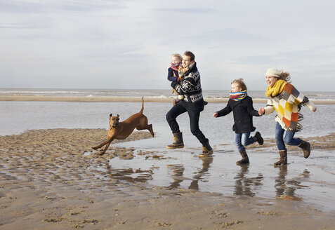Erwachsene Eltern mit Sohn, Tochter und Hund laufen am Strand, Bloemendaal aan Zee, Niederlande - CUF37122