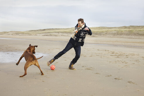 Mittlerer Erwachsener Mann mit Hund spielt Fußball am Strand, Bloemendaal aan Zee, Niederlande - CUF37125
