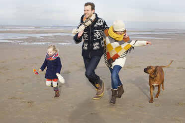 Erwachsene Eltern, Tochter und Hund laufen am Strand, Bloemendaal aan Zee, Niederlande - CUF37136