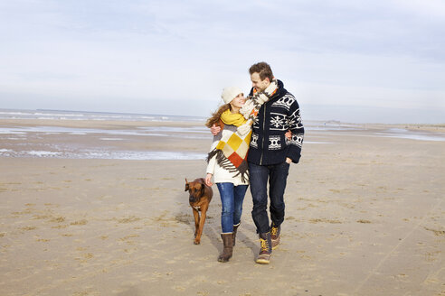 Mittleres erwachsenes Paar und Hund spazieren am Strand, Bloemendaal aan Zee, Niederlande - CUF37137