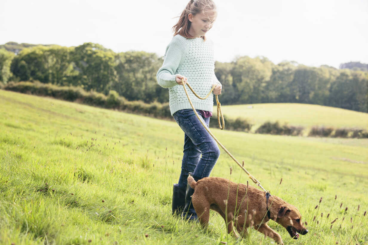 Girl walking dog stock photo