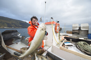 Fischer mit frisch gefangenem Kabeljau auf einem Fischerboot - CUF37493