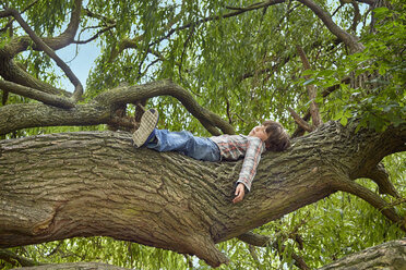 Boy lying on branch of forest tree - CUF37542