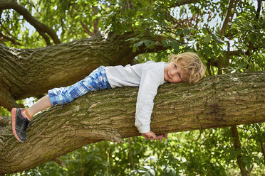 Boy lying on forest tree branch - CUF37543
