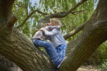 Zwei Brüder umarmen sich in einem Waldbaum - CUF37546