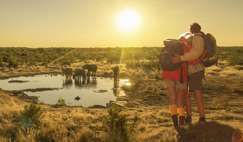 Paar beobachtet Elefanten an der Wasserstelle bei Sonnenuntergang, Etosha-Nationalpark, Namibia, lizenzfreies Stockfoto