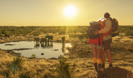 Paar beobachtet Elefanten an der Wasserstelle bei Sonnenuntergang, Etosha-Nationalpark, Namibia - CUF37600