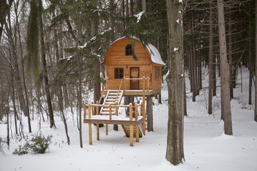 Hand built wooden chalet on stilts in snow covered forest - ISF14552