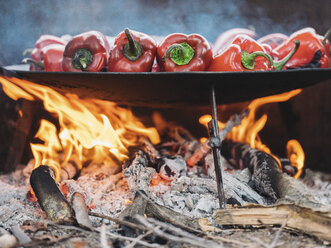 Rote Paprikaschoten auf Grillschale, Feuer - NOF00035