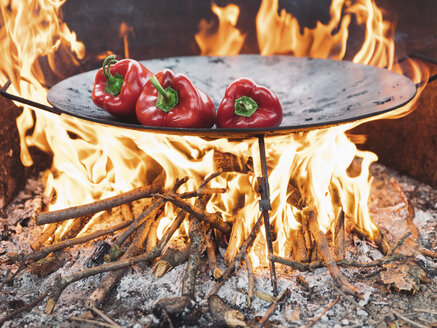 Rote Paprikaschoten auf Grillschale - NOF00039