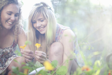 Two teenage girls picking wildflowers in woodland - ISF14716