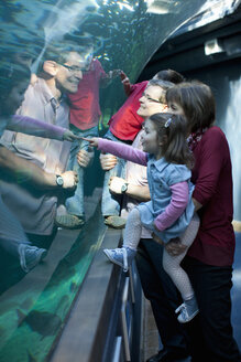 Enkelkinder und Großeltern betrachten Fische im Aquarium - ISF14723