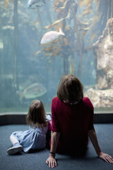 Junges Mädchen und Großmutter beobachten Fische im Aquarium - ISF14724