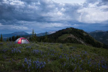 Zelt in der Abenddämmerung, entlang des Wanderwegs 403 in den West Elk Mountains bei Crested Butte, Colorado, USA - ISF14798