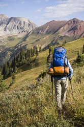 Frau beim Rucksacktourismus im Hasley Basin, West Elk Mountains, Colorado, USA - ISF14860