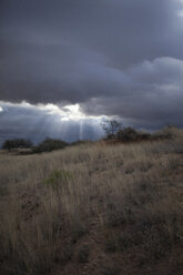Buschland und stürmischer Himmel, Texas, USA - ISF14910
