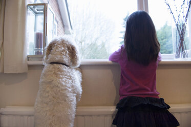 Mädchen und ihr Haushund stehen und schauen aus dem Fenster - ISF15011