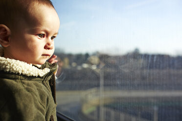 Close up of baby boy staring out of window - ISF15072