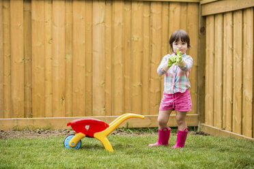Junges Mädchen mit Spielzeugschubkarre zieht Gartenhandschuhe an - ISF15109