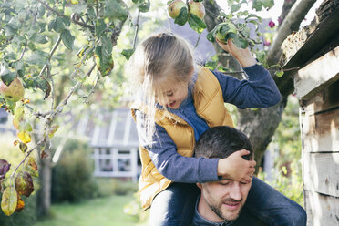 Tochter auf den Schultern des Vaters, der einen Apfel vom Baum pflückt - CUF37914