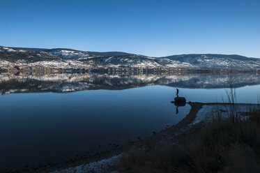 Spiegelung im Okanagan-See, Penticton, British Columbia, Kanada - ISF15264