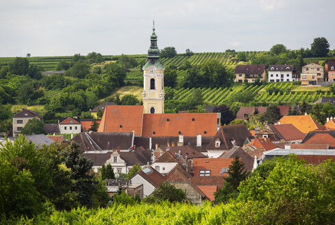 Austria, Lower Austria, Waldviertel, Wachau, Langenlois, Parish Church, vineyard - WWF04231