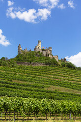 Austria, Lower Austria, Wachau, Kremstal, Senftenberg, Castle ruin Senftenberg - WWF04237