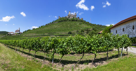 Austria, Lower Austria, Wachau, Kremstal, Senftenberg, Castle ruin Senftenberg - WWF04238