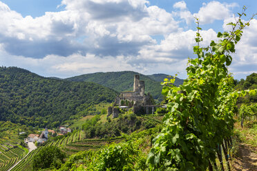 Austria, Lower Austria, Wachau, Kremstal, Senftenberg, Castle ruin Senftenberg - WWF04241