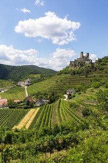 Österreich, Niederösterreich, Wachau, Kremstal, Senftenberg, Burgruine Senftenberg - WWF04242