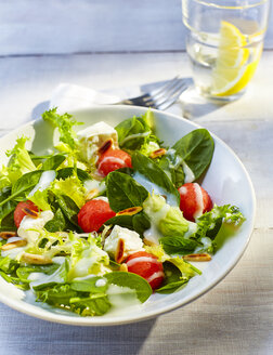 Gemischter Salat mit Wassermelone und gerösteten Pinienkernen - KSWF01921