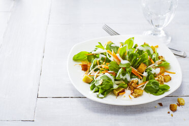 Autumnal salad with lamb's lettuce, carrots, slaw, croutons and walnuts - KSWF01922