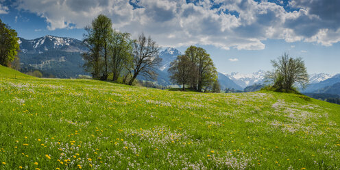 Deutschland, Bayern, Allgäu, Oberallgäu, Allgäuer Alpen, Illertal, Panoramablick vom Malerwinkel - WGF01200