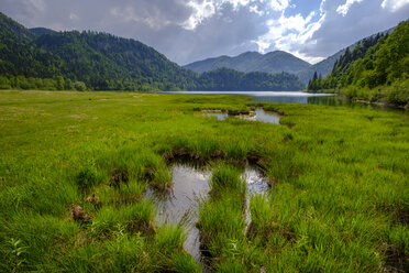 Germany, Bavaria, Upper Bavaria, Reit im Winkl, Lake Weitsee near Ruhpolding, Weitsee moor - LBF01993