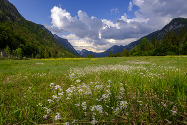 Germany, Bavaria, Upper Bavaria, Reit im Winkl, Lake Weitsee near Ruhpolding, moor, moor grass - LBF01994