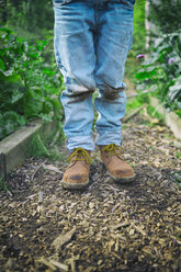 Legs of boy in dirty knee jeans on allotment - CUF38281