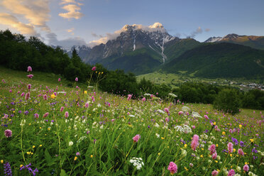 Wiese mit Wildblumen, Dorf Mazeri, Svaneti, Georgien - CUF38476