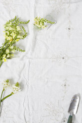 Spring flowers and trowel on linen - ISF15360