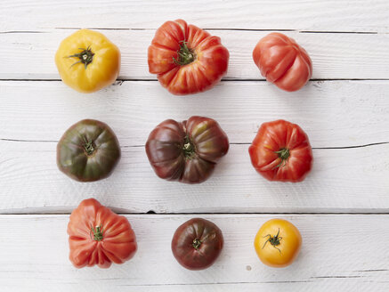 Arrangement aus neun Heirloom-Tomaten - ISF15364