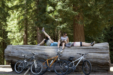 Drei Mountainbikerinnen machen eine Pause auf einem Baumstamm im Wald - ISF15652