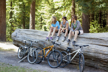Three women mountain bikers sitting on tree trunk in forest - ISF15653