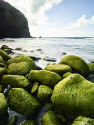 USA, Hawaii, Kauai, Na Pali Coast, überwucherte Steine am Strand - CVF00926