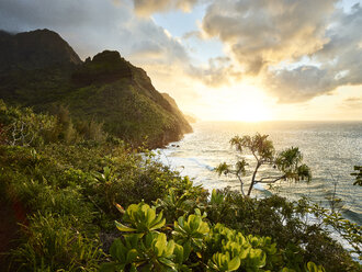 USA, Hawaii, Kauai, hiking trail at Na Pali Coast - CVF00931