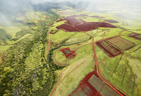 USA, Hawaii, Kauai, field landscape, aerial view stock photo