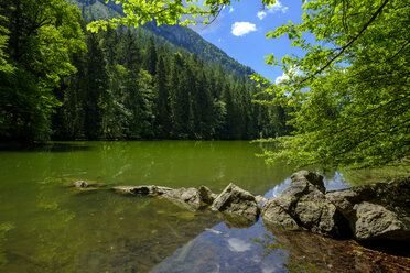 Deutschland, Bayern, Oberbayern, Ruhpolding, Chiemgau, Taubensee - LBF02008